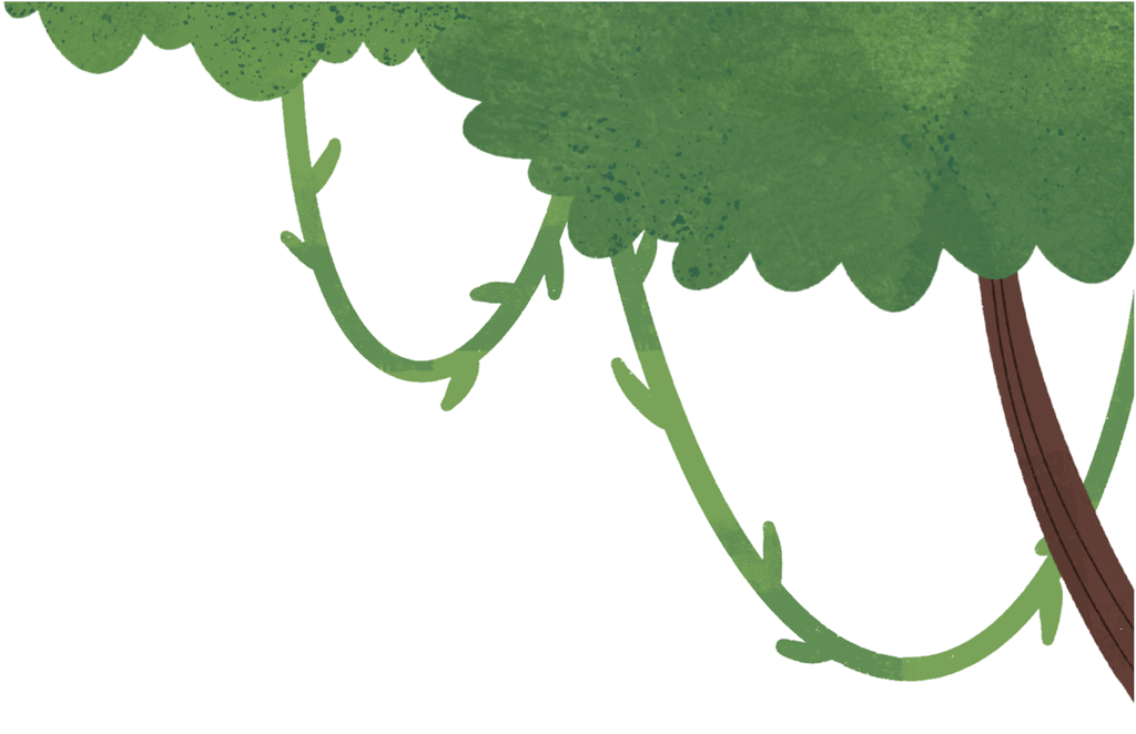 Background Image Of Another Tree Branch