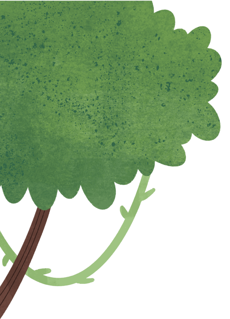 Background Image Of Tree Branch